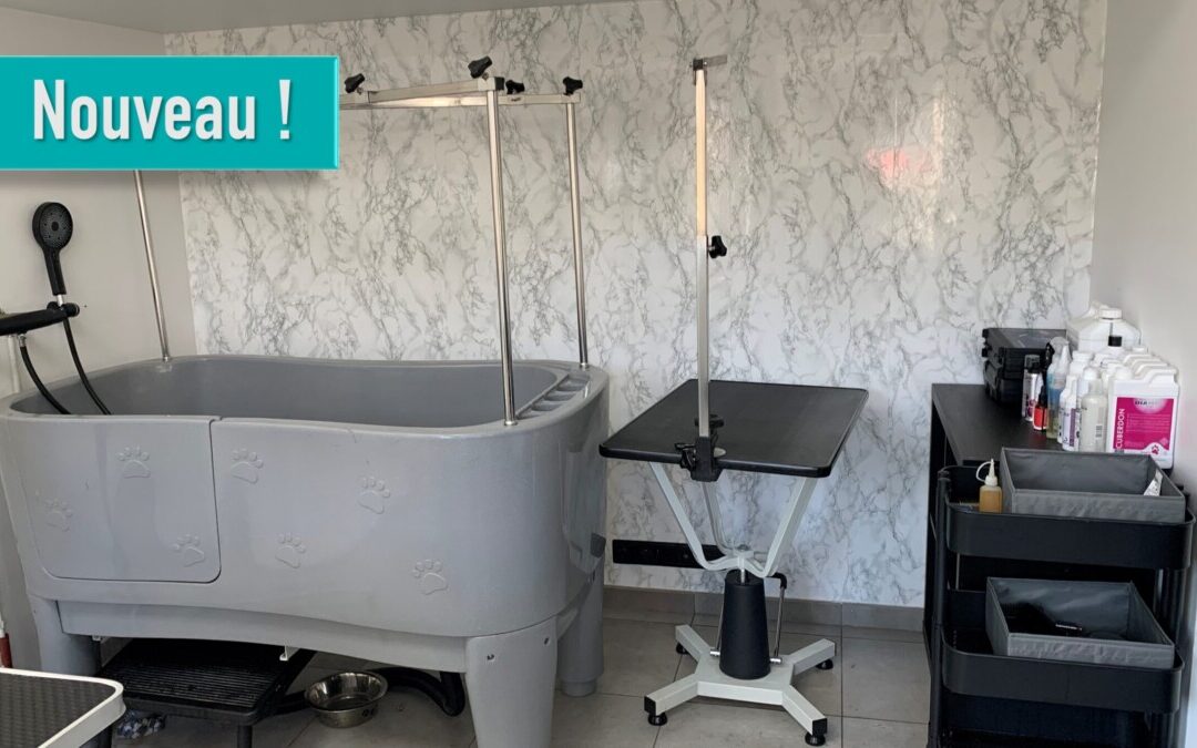 Doggy Lounge by Arthur : le nouveau salon de toilettage au cœur de Coutisse
